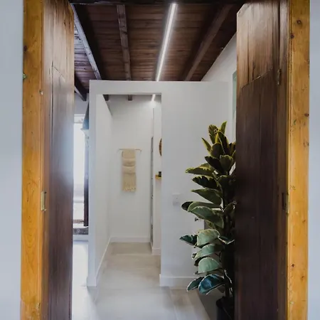 Apartamento Encanto Canario En